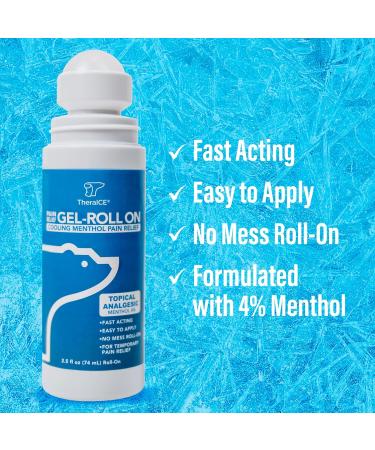 TheraICE Pain Relief Roll On 2.5 FL OZ - Fast Acting Icy Gel with Menthol for Muscles Joints Arthritis Back Knee & More - Buy Online on GoSupps.com