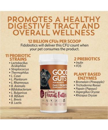 Good Guts Probiotic for Big Dogs - 12 Billion CFUs 11 Strains & Digestive Support | 20-Day Supplement for Adult & Puppy Dogs Over 66 lbs - Buy Online on GoSupps.com