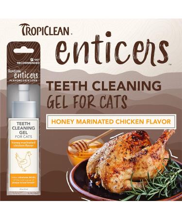 TropiClean Enticers Teeth Cleaning Gel for Cats - Honey Marinated Chicken Flavor 2oz - Dental Gel - Helps Remove The Source of Bad Breath and Plaque- Flavor Cats Love - No Brushing Honey Marinated Chicken 59 g (Pack of 1) Cats - Buy Online on GoSupps.com