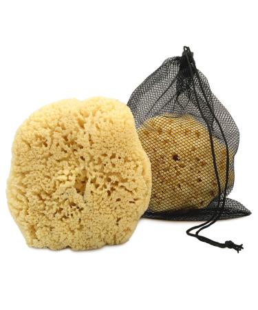 Real Sea Sponge for Men - Extra Large 6"-7", Totally Natural, Kind on Skin for an Invigorating Shower, Supplied in Breathable Mesh Bag. Great for The Gym, Grooming, Bath & Body Gift by Constantia Man