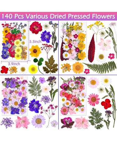 Dried Pressed Flower Kit for Resin Crafts - 140 Pcs Natural Herbs, Leaves & Flowers for Scrapbooking, DIY Art, Jewelry, Candle, Soap Making - Bulk Pack - Buy Online on GoSupps.com