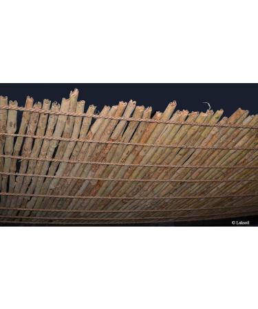 Certified Organic Ceylon Ceylon Cinnamon Premium Grade Sticks 100g/3.57oz - Buy Online on GoSupps.com