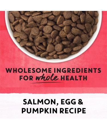 Beyond Superfood Blend Natural Dry Dog Food Wild Caught Salmon Egg & Pumpkin - 10.2 kg Bag 10.2 kg (Pack of 1) Dog Food - Buy Online on GoSupps.com