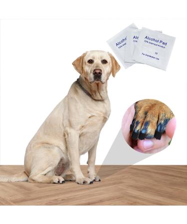 EIDEAL Pets | Nail-Grips for Dogs | Anti-slip Nail Covers for Dogs | Traction Grips for Dogs | Affordable Rubber Grips for Dogs for Hardwood Floors | Instant Relief for Dogs who Slip (XS) | One pack (20 Grips)