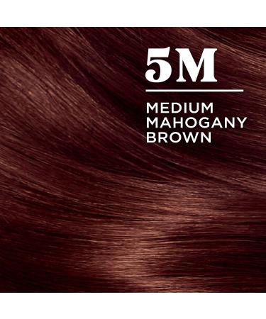 Clairol Nice'n Easy 5M Medium Mahogany Brown Hair Dye - 6.26 Fl Oz (Pack of 1) - Buy Online on GoSupps.com