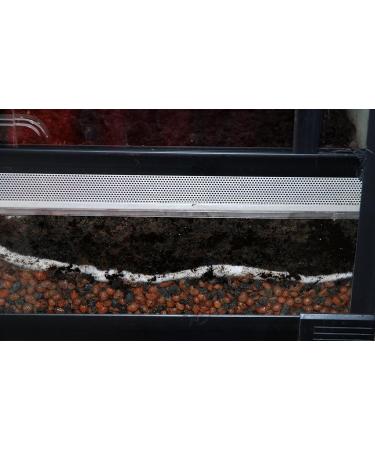 Buy Lucky Reptile Hydro Drain 8L - Premium Drainage Material for Tropical Terrariums - Buy Online on GoSupps.com