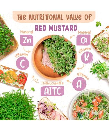 ZenGreens - Organic Red Mustard Seeds - Choose between 10g 200g and 500g - Red mustard seeds with a high g content - Buy Online on GoSupps.com