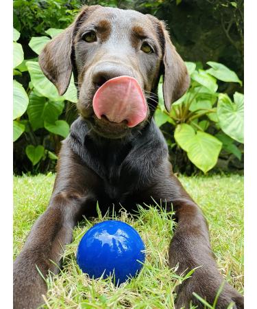 Tuff Pupper Superchewy Tough Ball Toys for Dogs | Durable Natural Rubber | Tested for Large Breeds | 2.5 Medium Dog Toy | Ultra-Durable Chew Ball - Buy Online on GoSupps.com