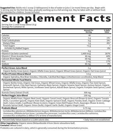 Buy Garden of Life Perfect Food Super Green Formula - 21.16 oz (600 g) | Organic Greens Supplement - Buy Online on GoSupps.com