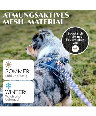 Freudentier Breathable Dog Harness | Comfort Padded & Secure | Anti-Drawing for All Dog Sizes | Let s Get Foxy Collection - Buy Online on GoSupps.com