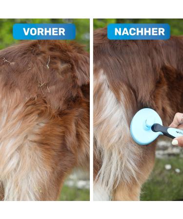 Bluepet Self-Cleaning Fiddling Brush for Cats & Dogs - Long-Haired Fur Care Tool for British Shorthairs - Best Plucking Brush for Pet Grooming - Buy Online on GoSupps.com