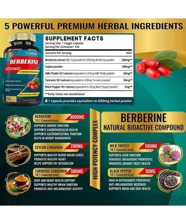 Berberine Extract 4250mg Capsules - 4 Months Supply with Ceylon Milk Thistle, Turmeric & Black Pepper | Immune Support & Weight Management Supplements - Buy Online on GoSupps.com
