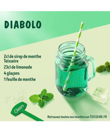 Teisseire Ice-Mint Syrup for Refreshing Drinks Cocktails Recyclable Bottle 60cl - Buy Online on GoSupps.com