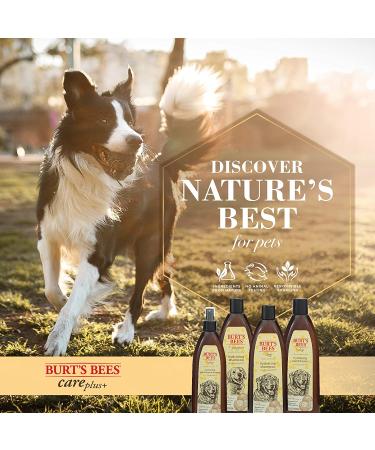 Burt's Bees Dog Shampoo with Coconut Oil | Hydrating Care Plus+ 16 fl oz - Buy Online on GoSupps.com