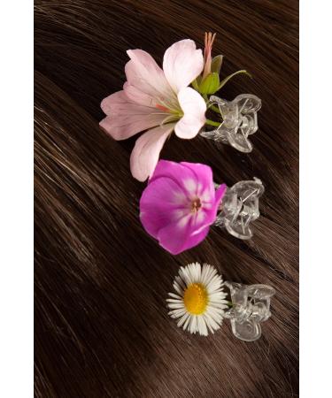 Buy 25 Mini Transparent Hair Clips for Girls & Women | Orchid Clips - Perfect for All Hairstyles - Buy Online on GoSupps.com