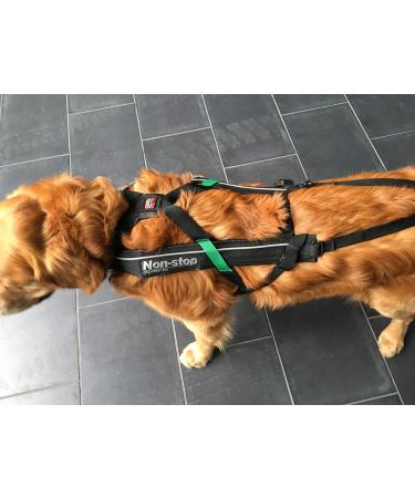 Buy Dog Copenhagen Non-Stop Canicross Harness - Free Motion Size T10 - Black | International Shipping Available - Buy Online on GoSupps.com