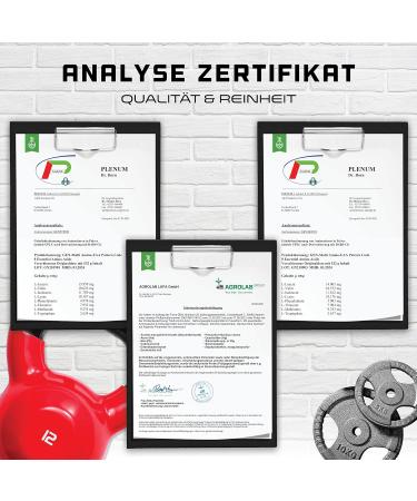 EAA Powder 532g - Candy Lemon Flavor | Vegan Amino Acid Drink | All 8 Essential Amino Acids | Delicious Workout Supplement - Buy Online on GoSupps.com