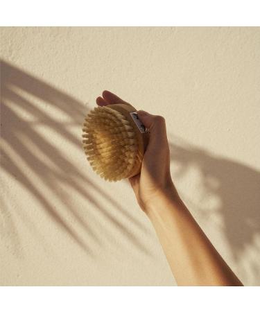 Ruhi Natural Body Brush - 100% Bristle FSC Beech Wood Plastic-Free Dry Brush for Massage & Lymphatic Drainage Anti-Cellulite Solution - Buy Online on GoSupps.com