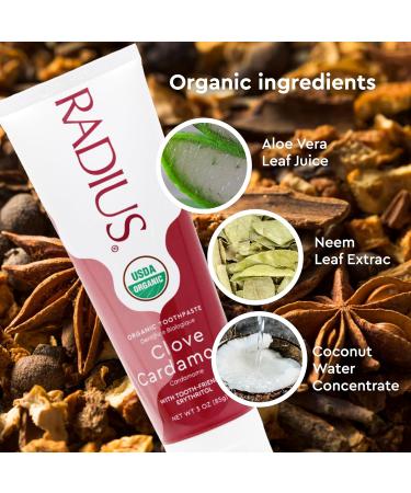 RADIUS USDA Organic Toothpaste - Clove Cardamom Non-Toxic Gluten-Free 3oz (Pack of 6) | Improve Gum Health & Prevent Cavities - Buy Online on GoSupps.com
