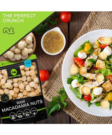 Raw Unsalted Macadamia Nuts (32oz) - Superior Quality, Freshly Packed, Healthy Snack - Keto Friendly, Vegan, Kosher - Buy Online on GoSupps.com
