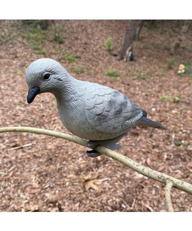 HQ Outfitters Dove Decoy 4 Pack - Realistic Hunting Decoys - Buy Online on GoSupps.com