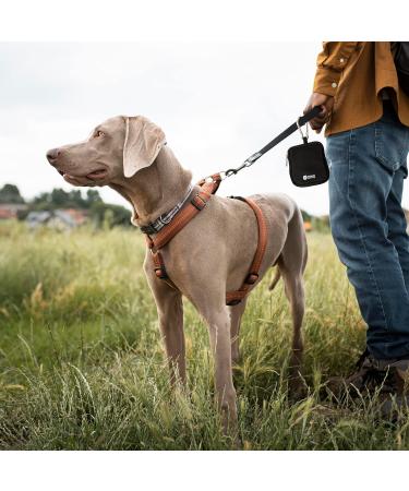 Merlin Pet Products Small Dog Treat Bag Training Pouch Pocket Size Travel Walking Walk Treats Pouch Bag For Lead Treats (Black) - Buy Online on GoSupps.com