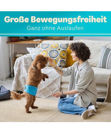 Dog is K nig Male Dog Diapers - Washable Comfort for Incontinence | Eco-Friendly Easy to Clean XS (23-32cm) - 3 Pack in Black Blue Green - Buy Online on GoSupps.com