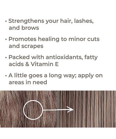Plant Therapy USDA Organic Castor Oil Starter Set - 100% Pure, Cold Pressed & Hexane Free for Conditioning, Healing, and Hair Growth - 6 Piece Set - Buy Online on GoSupps.com