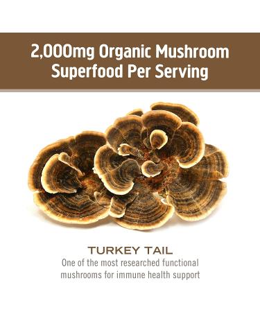 Om Mushroom Superfood Turkey Tail Powder | Organic Immune Support & Gut Health | 3.5 oz | 50 Servings - Buy Online on GoSupps.com