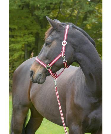 Kerbl Nylon Halter for Hippo Pony & Shetty - Full Cob & XFull Sizes in 6 Colors Including 3 Reds | Durable & Adjustable - Buy Online on GoSupps.com