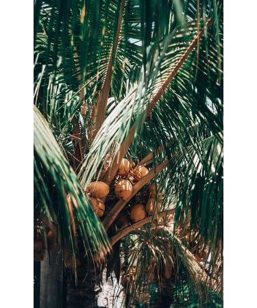 Buy Camelur 1kg Organic Coconut Flakes - No Added Sugar Additive-Free Biodegradable Packaging - Buy Online on GoSupps.com