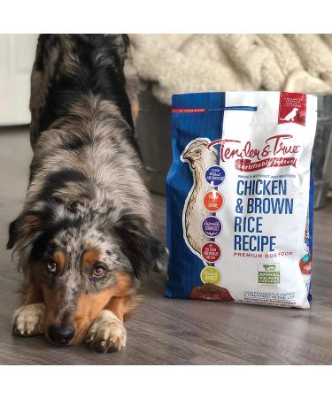 Tender & True Chicken & Brown Rice Dog Food - Antibiotic-Free | 4 lb - Buy Online on GoSupps.com