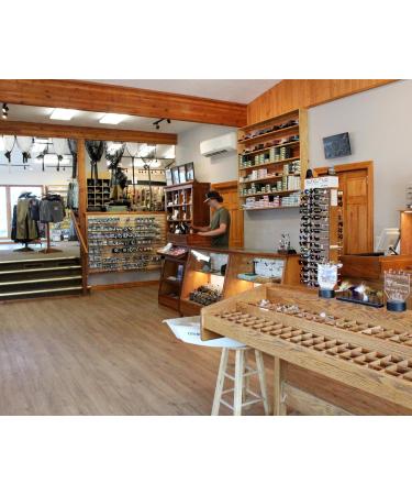 Scissor Clamp 5.5in Gold Straight 5.5 Inch Gold - Straight - Buy Online on GoSupps.com