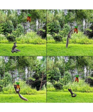PfNRT Bungee Squirrel Feeder | Outdoor Cob Holder to Attract Squirrels, Chipmunks, and Wildlife - Buy Online on GoSupps.com