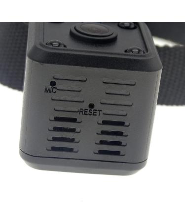 Pet Collar Camera DVR with 16GB TF Card - Black | Monitor & Record Your Dog's Adventures - Buy Online on GoSupps.com