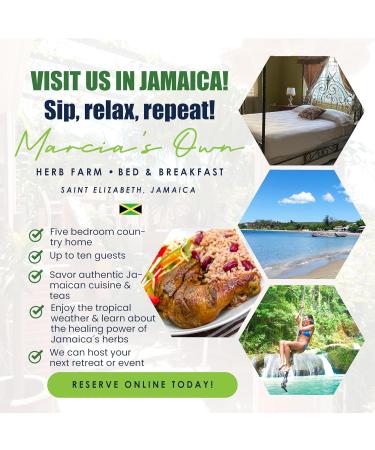 Pimento Leaf Tea - Buy Online on GoSupps.com