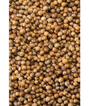 McCormick Gourmet Organic Coriander Seed - 0.87 oz - Buy Online on GoSupps.com