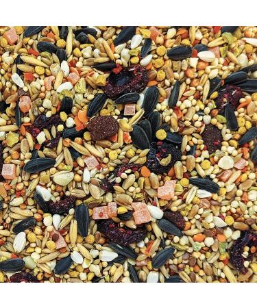 Hagen Gourmet Small Parrot Seed Mix 2 Kg + Gourmet Seed Mix for Cockatiels and Small Hookbills 1.3 Kg - Buy Online on GoSupps.com