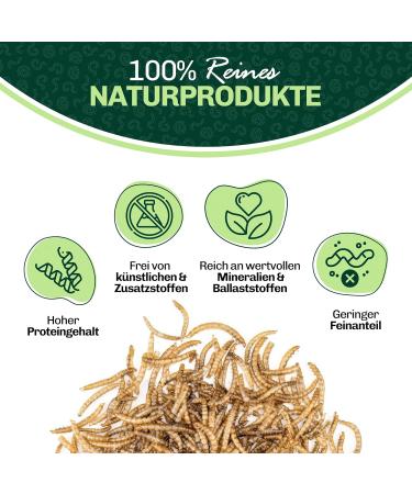 Blumixx Jan-Pet Premium Dried Mealworms 5 kg - All Year Round Bird & Wildlife Feed Hedgehog Squirrel Hamster Fish Food - Buy Online on GoSupps.com