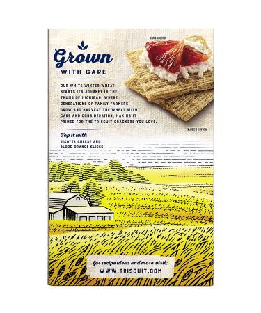 Triscuit Hint of Sea Salt Whole Grain Wheat Crackers 8.5 oz (Pack of 6) - Lightly Salted Snack Option - Buy Online on GoSupps.com