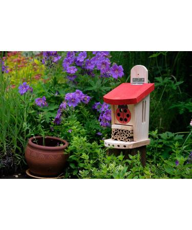 Wildlife World LBT4 Live Ladybird Lodge in Red/Brown - Natural Pest Control Solution - Buy Online on GoSupps.com