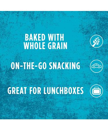 Kellogg's Scooby-Doo! Cinnamon Graham Cracker Snacks - Whole Grain | 1 oz Bag (40 Bags) - Buy Online on GoSupps.com