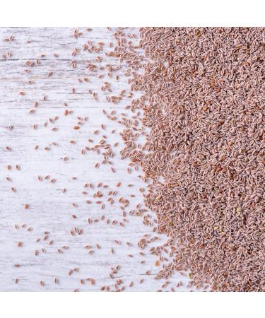 Mynatura Organic Psyllium 1000g - 99% Pure Fiber | Food Quality from India | Ideal for Baking & Suitable for Humans & Animals - Buy Online on GoSupps.com