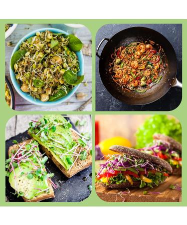 Seed Sprouting Jar Lids - 2 Pack Stainless Steel Strainer Screens for Regular Mouth Mason Jars | Grow Fresh Broccoli, Alfalfa, Beans at Home - Buy Online on GoSupps.com