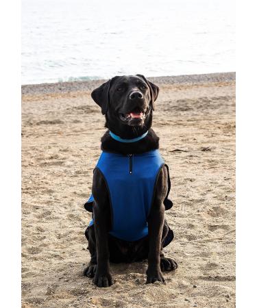 Lautus Pets XXL Dog Cooling Vest - Blue 2XL Lightweight Jacket for Extra Extra Large Dogs (75cm) | Ideal for German Shepherds & Bernese | Stay Cool in Hot Weather - Buy Online on GoSupps.com