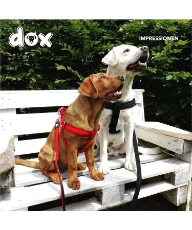 DDOXX Air Mesh Step-In Dog Harness - Adjustable Black Puppy Harness for All Sizes (S 2.0 x 45-63 cm) - International Shipping Available - Buy Online on GoSupps.com