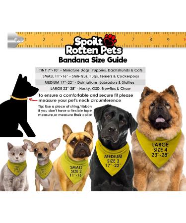 Spoilt Rotten Pets Nervous Please Pass Bandana & Walking A Nervous Dog Please Pass Reflective High Visibility Lightweight Hi Viz Safety Vest - Buy Online on GoSupps.com