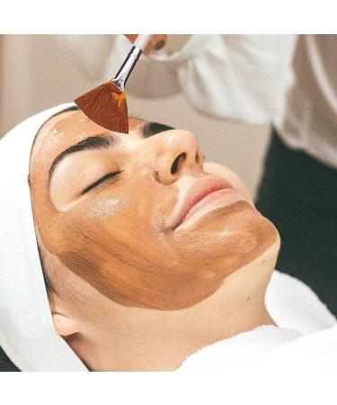 SAVITA 4Pcs Face Mask Brushes Fan Brushes Soft Facial Brushes Tools Makeup Brushes for Peel Sleeping Mask Mud Mask Makeup 15cm/6 inches orange and white - Buy Online on GoSupps.com