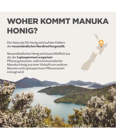 Buy Authentic Manuka Honey 500+ MGO - 500g | 100% Natural Lab-Tested Quality from New Zealand - Buy Online on GoSupps.com
