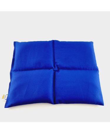 Sensory Owl Soft Weighted Lap Pillow Sensory Calming - Heavy - for Anxiety - Relieve Stress - Deep Pressure - Play Therapy Equipment - 100% Cotton Blue 2kg 2kg Blue
